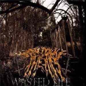 Tear Down The Skies - Wasted Life Mp3