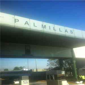 Derek Baron - Palmillas Mp3