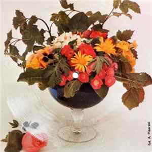 Sheila And B. Devotion - Spacer Mp3