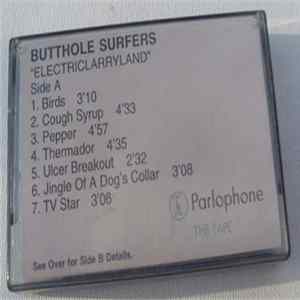 Butthole Surfers - Electriclarryland Mp3