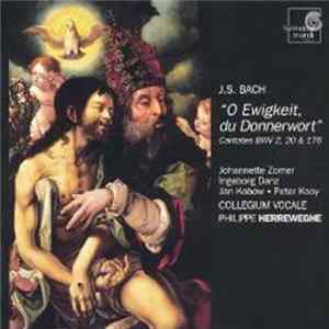 J. S. Bach - Johannette Zomer, Ingeborg Danz, Jan Kobow, Peter Kooy, Collegium Vocale, Philippe Herreweghe - "O Ewigkeit, Du Donnerwort" Cantatas BWV 2, 20 & 176 Mp3