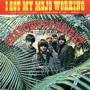 Shadows Of Knight - I Got My Mojo Working Mp3
