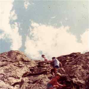 Fungi Girls - Turquoise Hotel / Doldrums Mp3