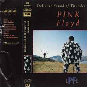 Pink Floyd - Delicate Sound Of Thunder Mp3
