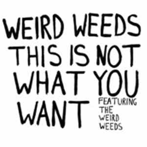 The Weird Weeds - This Is Not What You Want Mp3