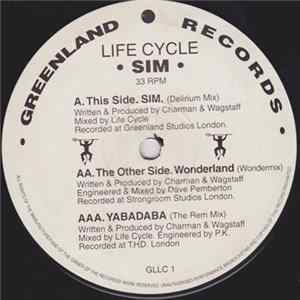 Life Cycle - Sim Mp3