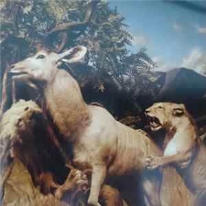 Interpol - Our Love To Admire Mp3