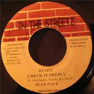 Danny English & Singer J / Sean Paul - Big Gun / Check It Deeply (Remix) Mp3