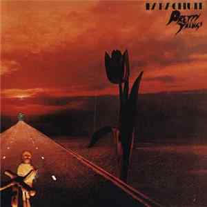 Pretty Things - Parachute Mp3