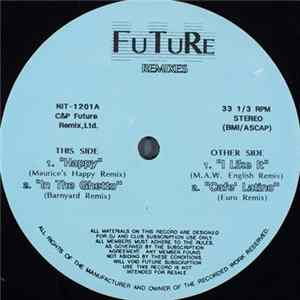 Various - Future Remixes Mp3
