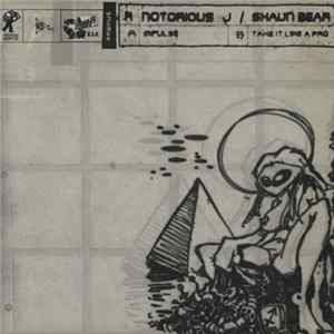 R Notorious J / Shaun Bear - Impulse / Take It Like A Pro Mp3