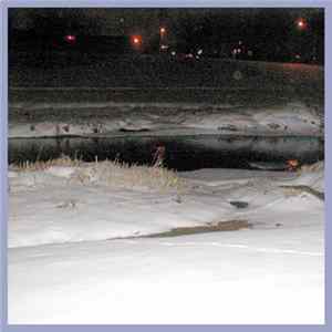 Various - CDR Series #1 Sampler Mp3