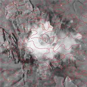 Artificial Memory Trace - Reprint Mp3