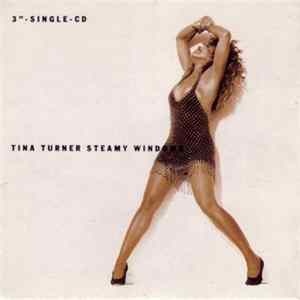 Tina Turner - Steamy Windows Mp3