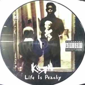 Korn - Life Is Peachy Mp3