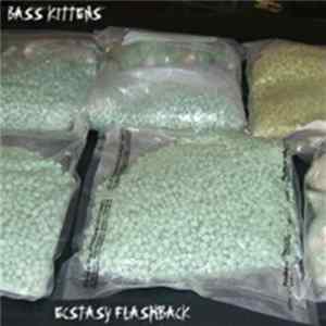 Bass Kittens - Ecstasy Flashback Mp3