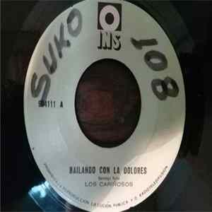 Los Cariñosos, Horacio Y Su Grupo - Bailando Con La Dolores / La Granizada Mp3