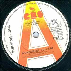 Sleeping Lions - Wonderful You Are Mp3