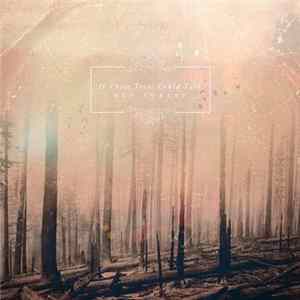 If These Trees Could Talk - Red Forest Mp3