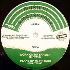 Edi Fitzroy / Johnny Ringo / Latty Guzang / The Roots Radics - Work On Mr Farmer / Plant Up Yu Vinyard / Muzical Organiza Mp3