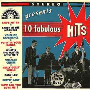 The Slow Slushy Boys - 10 Fabulous Hits Mp3