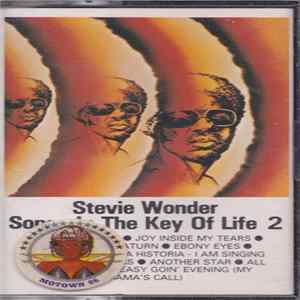 Stevie Wonder - Songs In The Key Of Life 2 Mp3