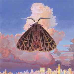 Chairlift - Moth Mp3