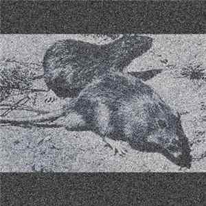 S4TVR4TI0N - Purification By Plage Mp3