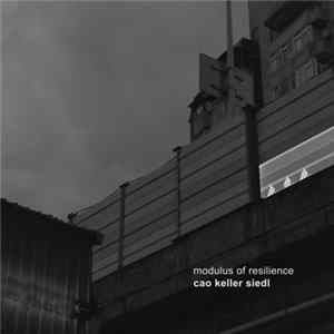 Cao, Keller, Siedl - Modulus Of Resilience Mp3