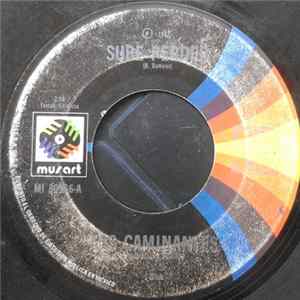 Los Caminantes - Supe Perder Mp3