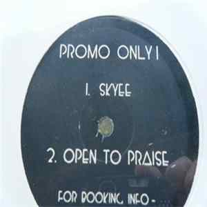 The Bayou Bros - Skyee / Open To Praise Mp3