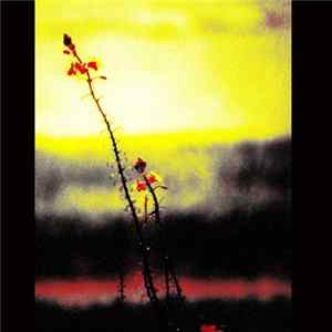 Anew - From Lips To Heart Mp3