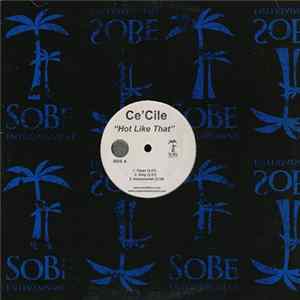Ce'Cile - Hot Like That Mp3