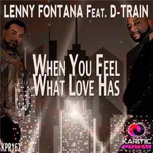 Lenny Fontana Feat. D-Train - When You Feel What Love Has Mp3