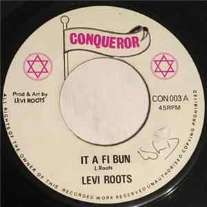Levi Roots - It A Fi Bun Mp3