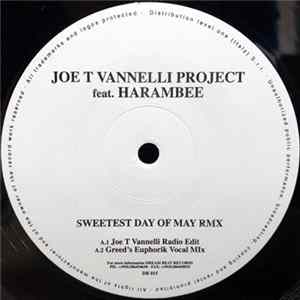 Joe T. Vannelli - Sweetest Day Of May Mp3