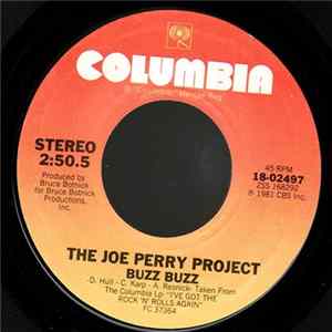 The Joe Perry Project - Buzz Buzz Mp3