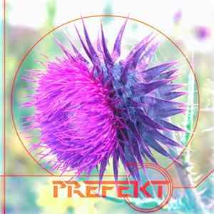 Prefekt - Martini Mp3