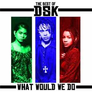 DSK - The Best Of - What Would We Do Mp3