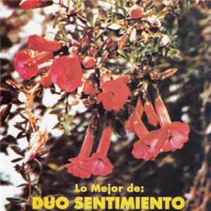 Duo Sentimiento - Lo Mejor de Duo Sentimiento Mp3