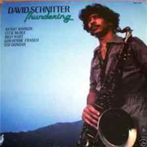 David Schnitter - Thundering Mp3