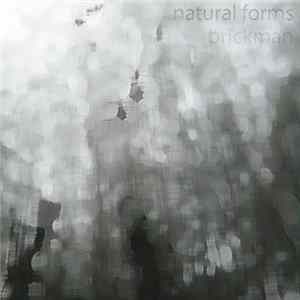 Brickman - Natural Forms Mp3