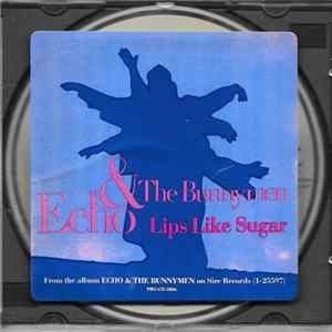 Echo & The Bunnymen - Lips Like Sugar Mp3