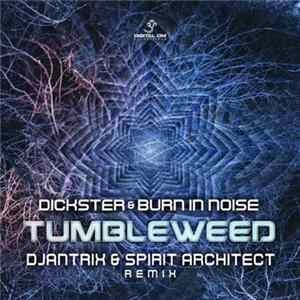 Dickster & Burn In Noise - Tumbleweed - Djantrix & Spirit Architect Remix Mp3