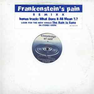Frankenstein - What Does It All Mean / The Pain Remixx Mp3
