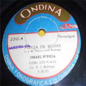 Ismael Pineda , Conj. Los Pijaos - Fiesta De Bodas Mp3