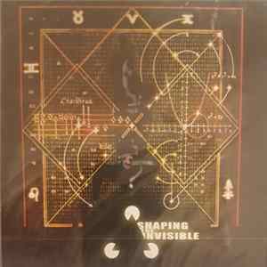 Various - Shaping The Invisible Sampler 01 Mp3