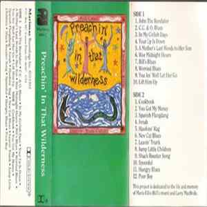 Andy Cohen / Bill Ellis / Eleanor Ellis - Preachin' In That Wilderness Mp3