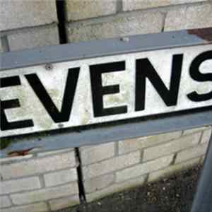 The Evens - 2 Songs Mp3