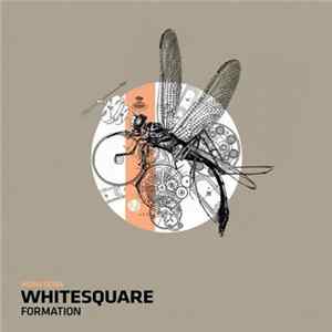 Whitesquare - Formation Mp3